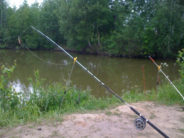 Фото с сайта: https://static.daru-dar.org