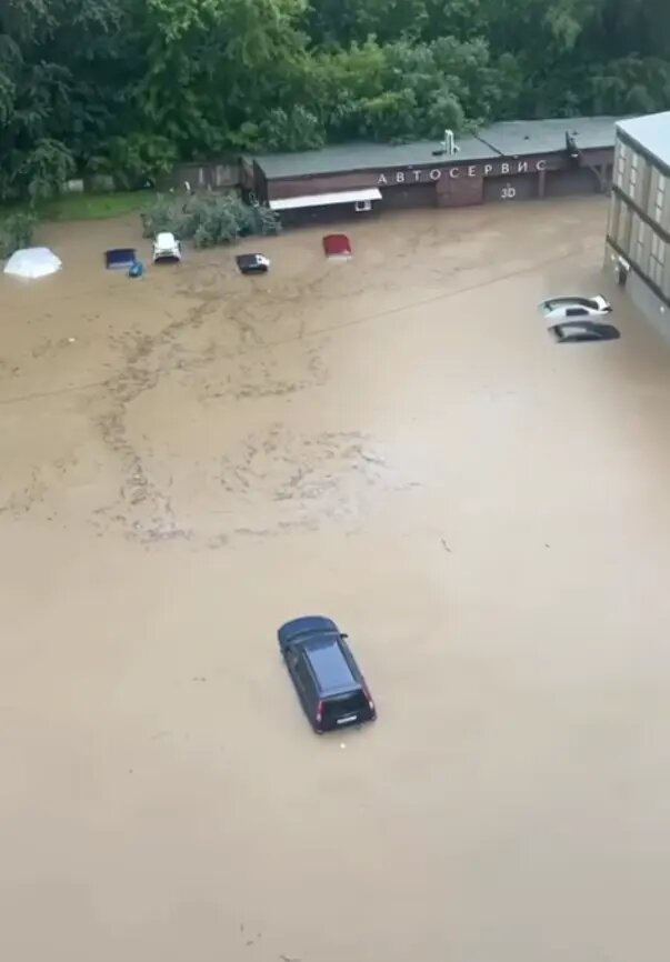    Фото: кадр видео из соцсетей