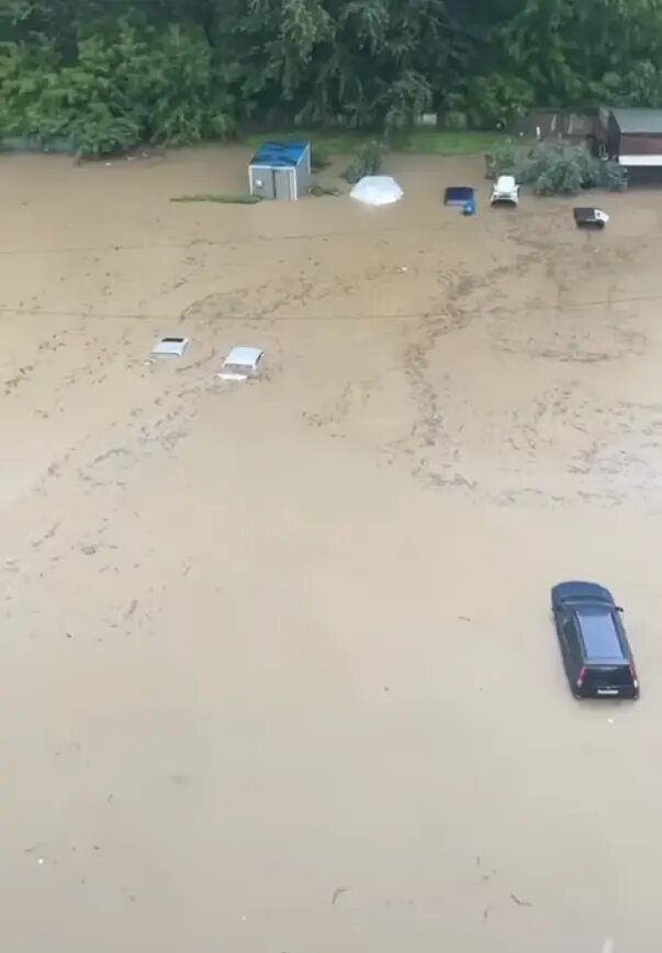    Фото: кадр видео из соцсетей