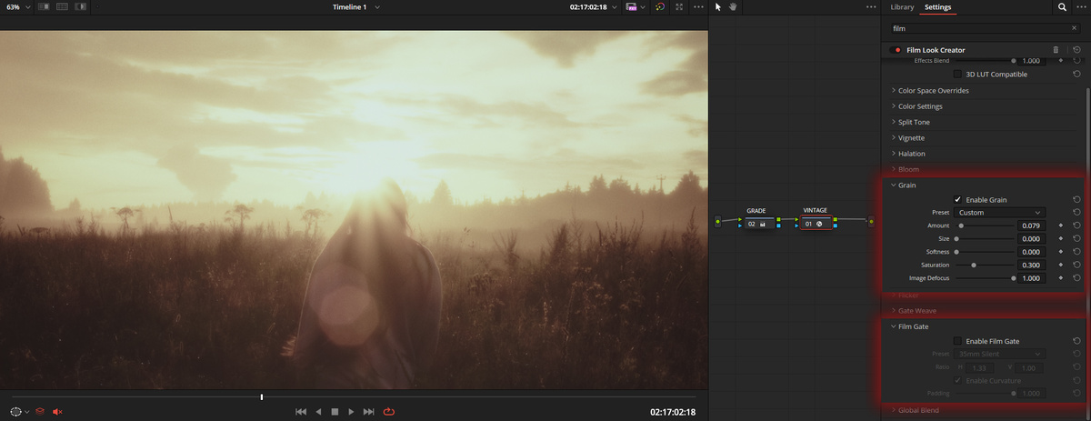 Film Gate и Film Grain