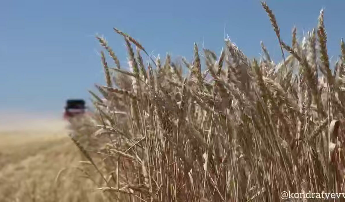    Скриншот видео t.me/kondratyevvi