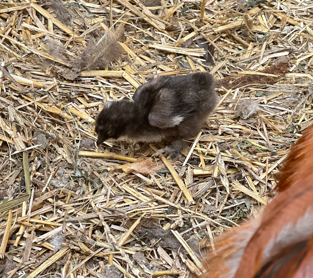 На следующий день.