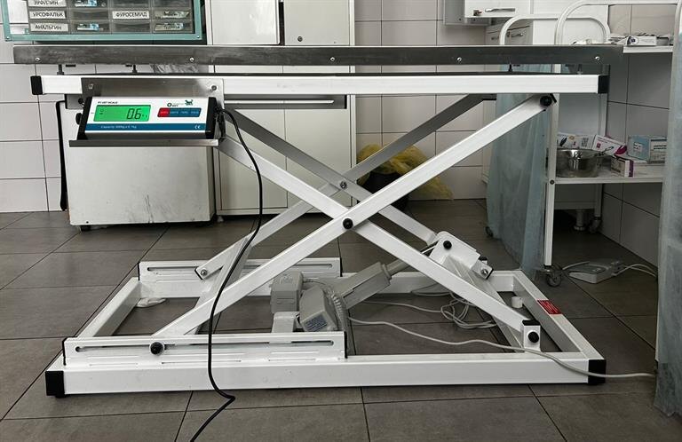    Фото: Администрация г. Красноярска