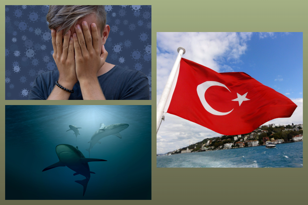 Отдых в Турции/pixabay.com