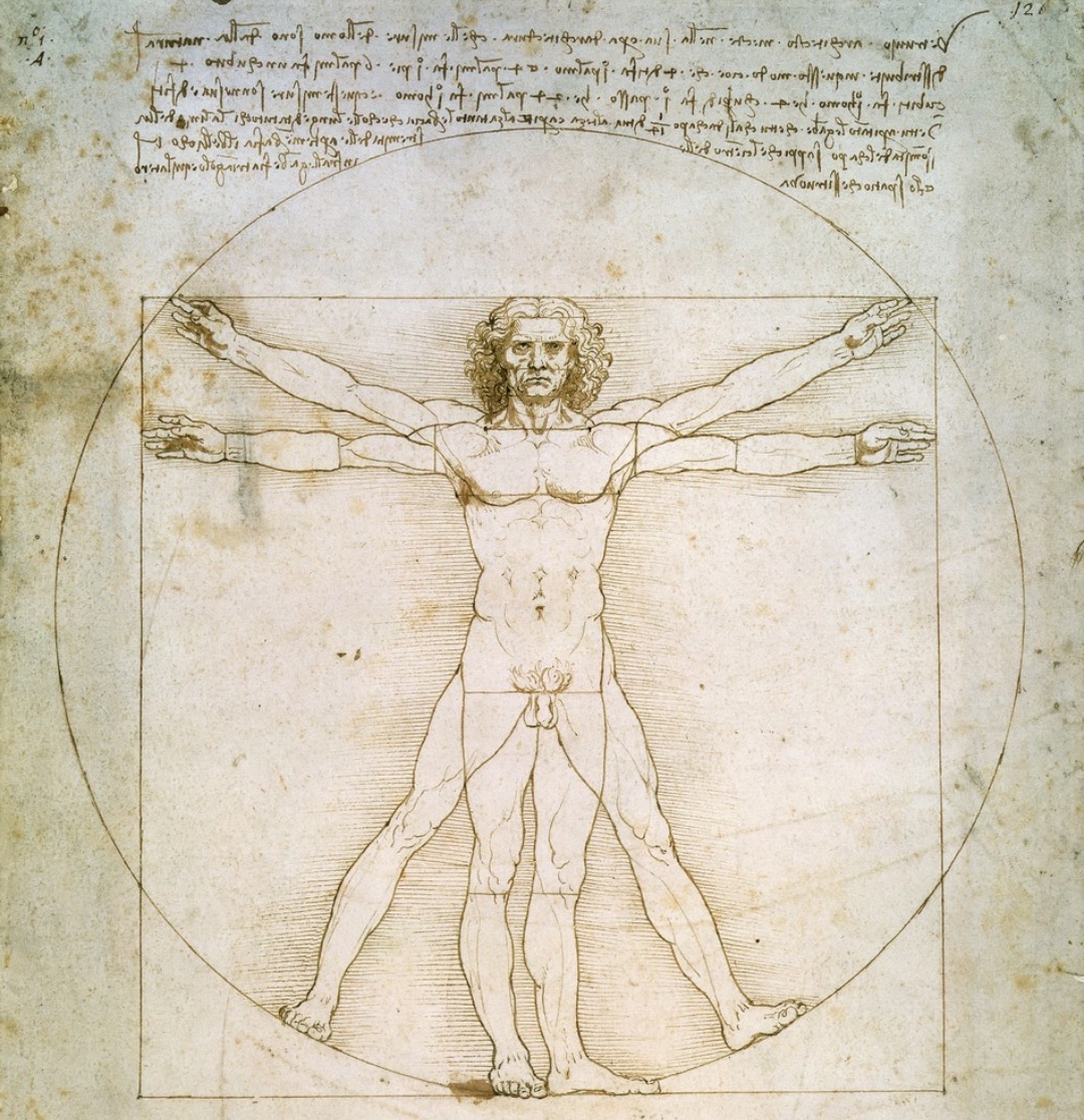 Рисунок "Витрувианский человек" Леонардо да Винчи.