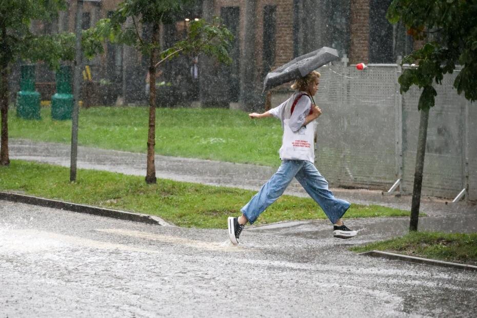    Фото: Ярослав Чингаев/Агентство «Москва»