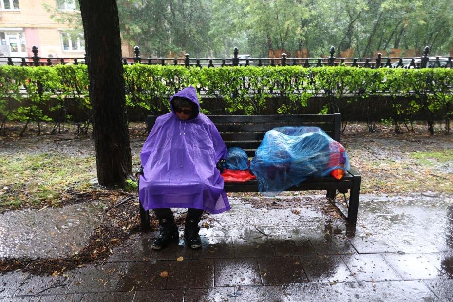    Фото: Ярослав Чингаев/Агентство «Москва»
