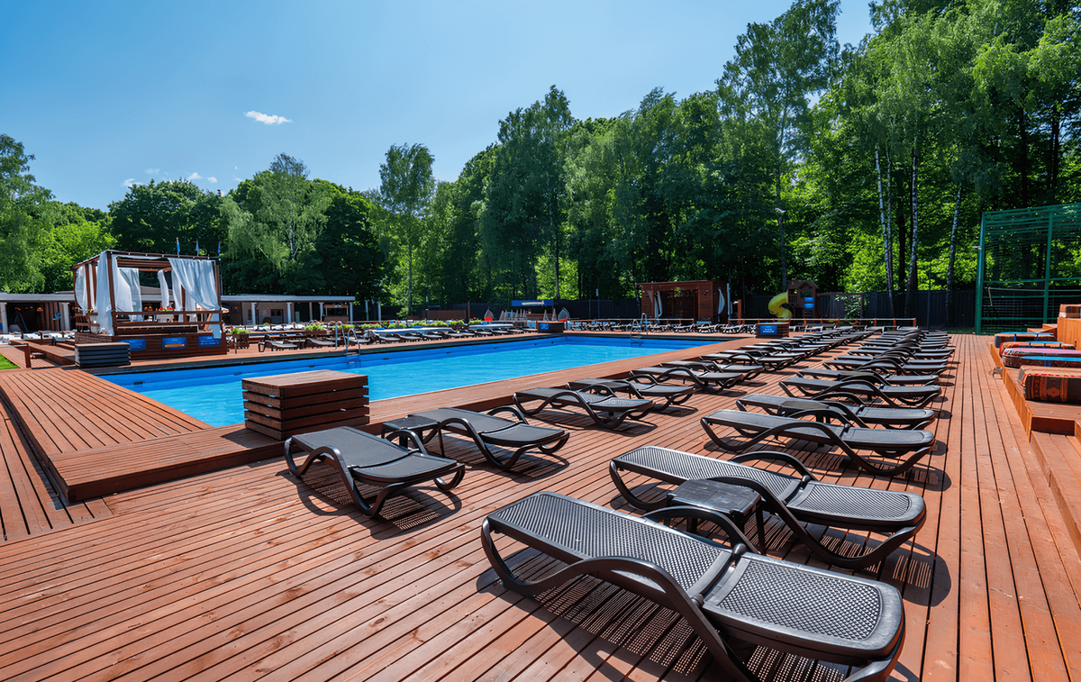 The Bassein. Источник: Dzen.ru