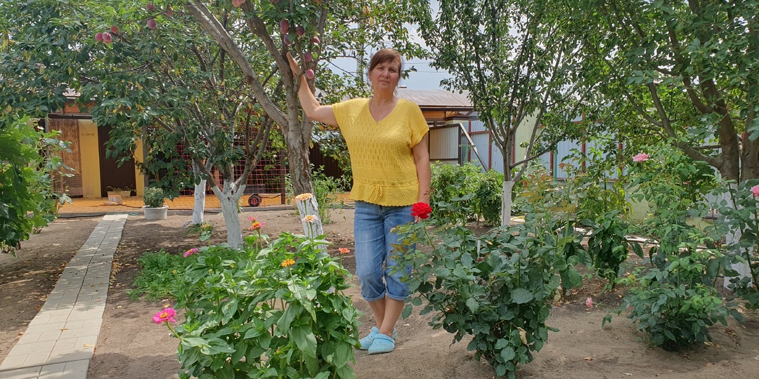 Вся правда о сидератах которую надо знать перед посевом