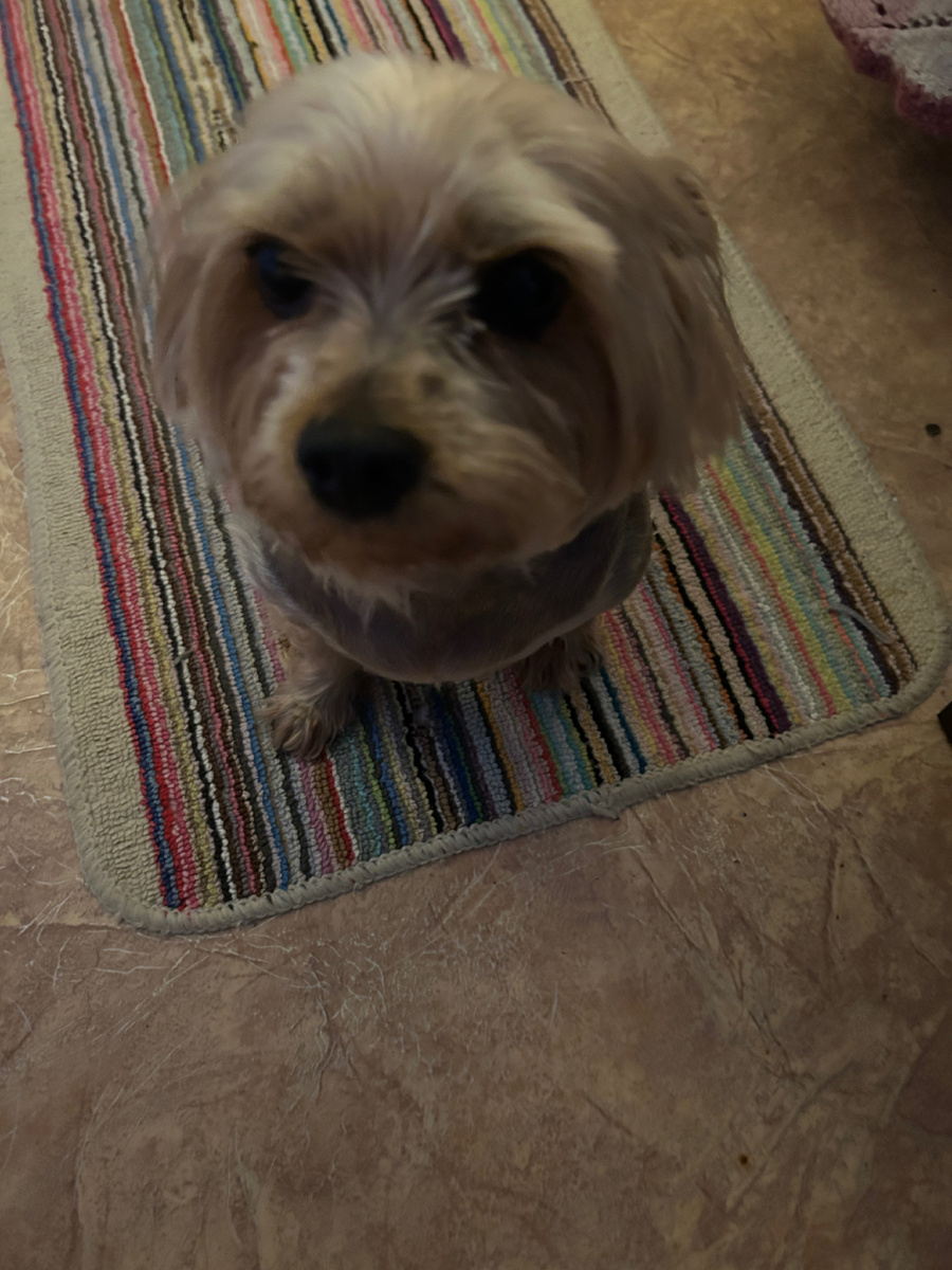 Фросенька моя