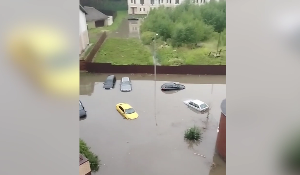     / Источник: © Соцсети. Кадр из видео