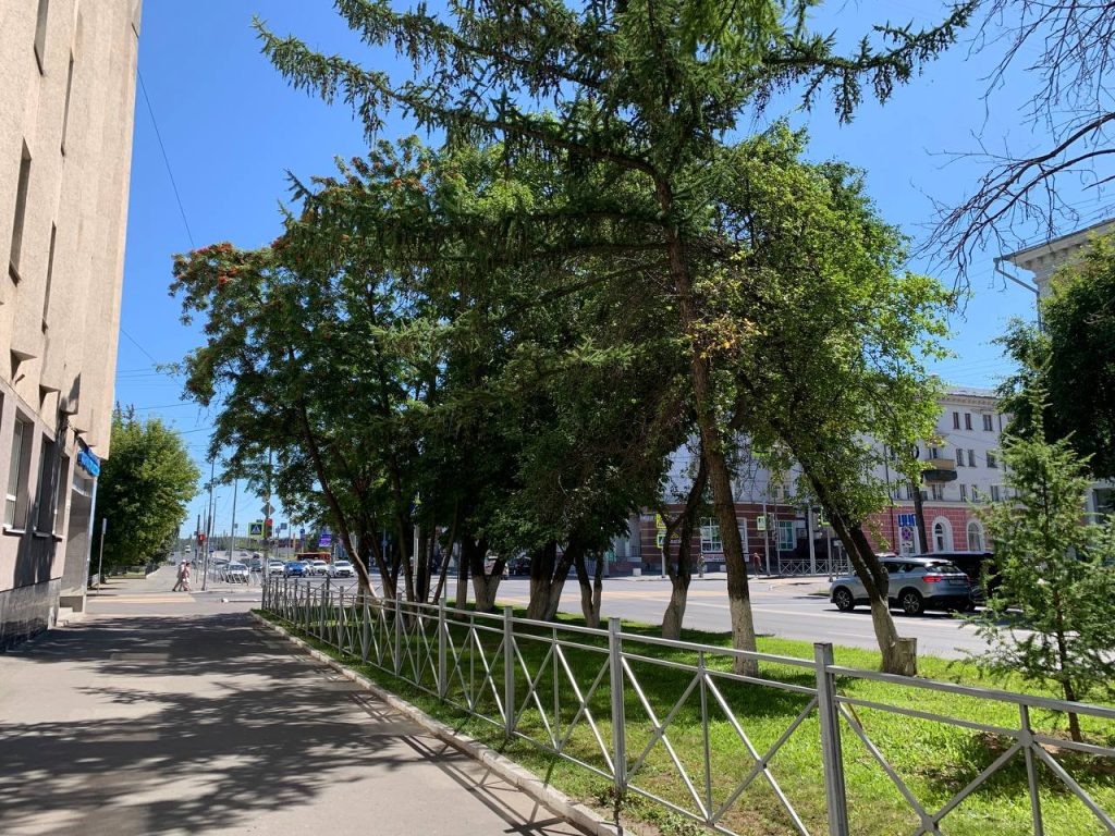    Альфия Радыгина