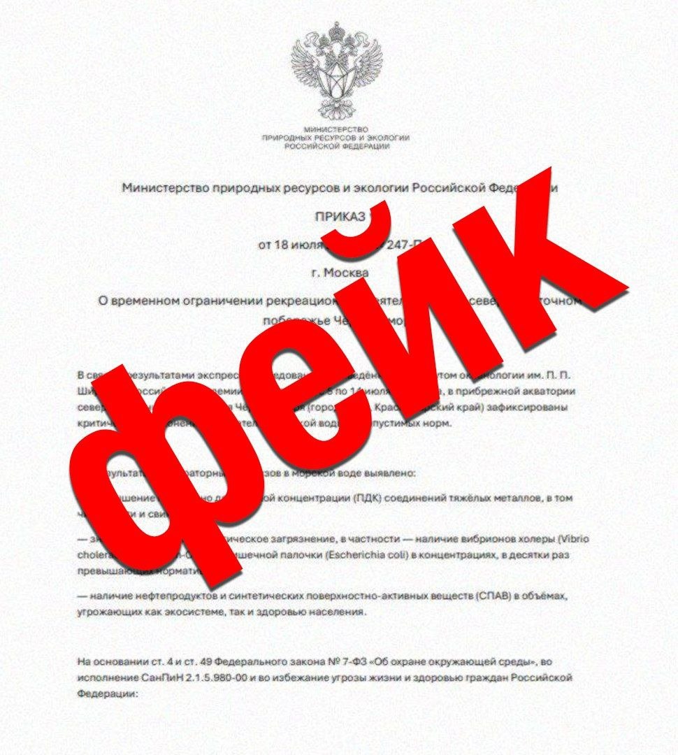 Фото: Telegram/Сочи Официальный  📷
