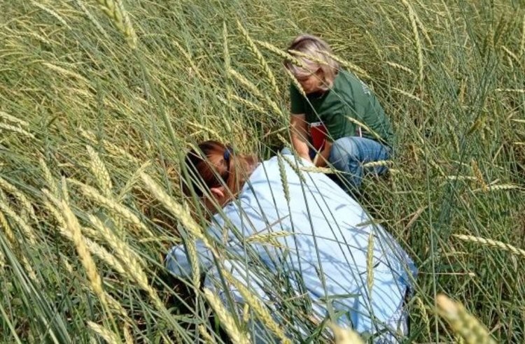    Фото: Филиал Россельхозцентра по Московской области