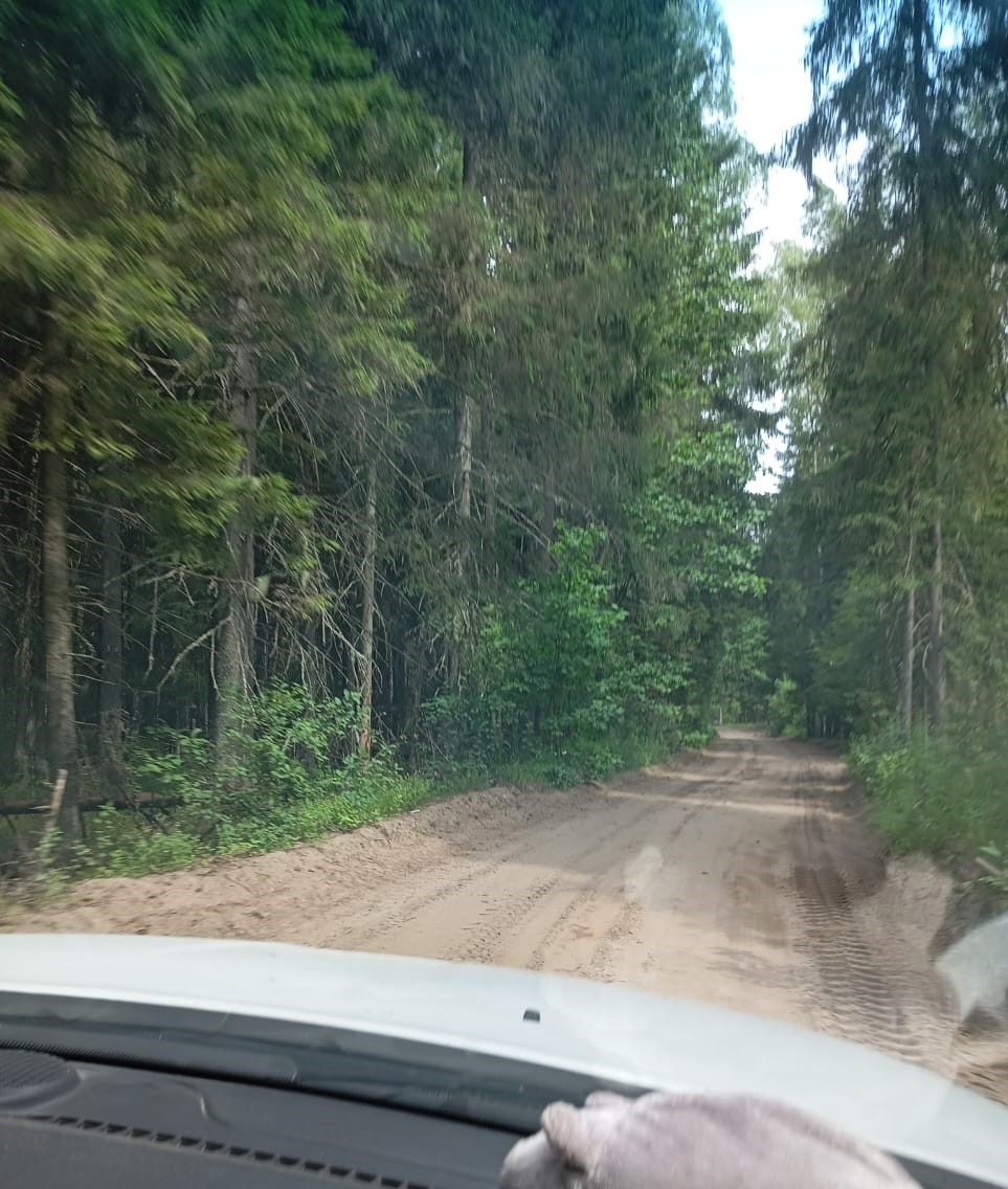 Фотография автора