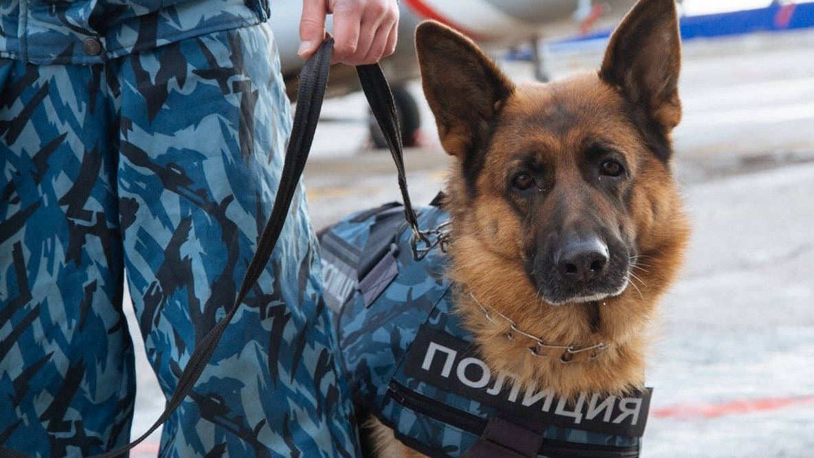 Фото с сайта https://вологда.рф/news/society/122713/