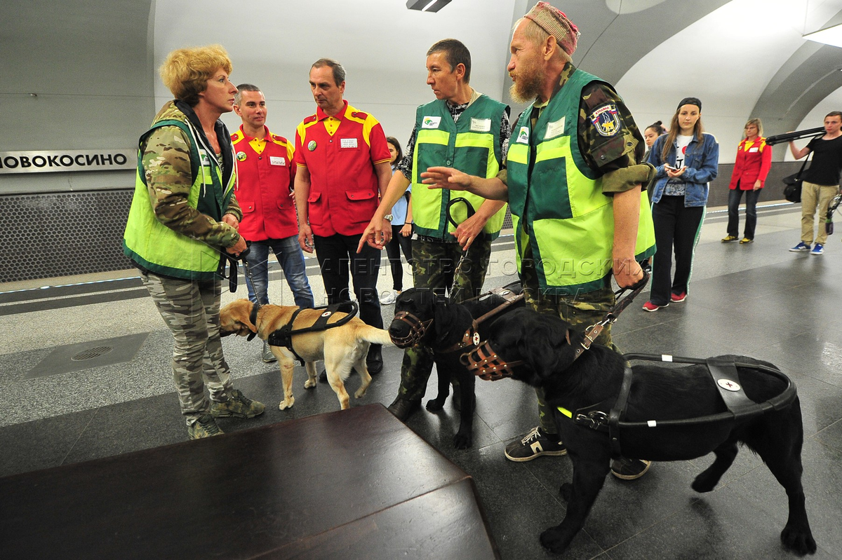 фото из открытых источников интернет