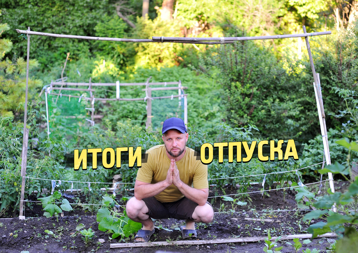 Арка для огурцов (пока не натянули сетку) похожа на что-то восточное. Истинный дзен.