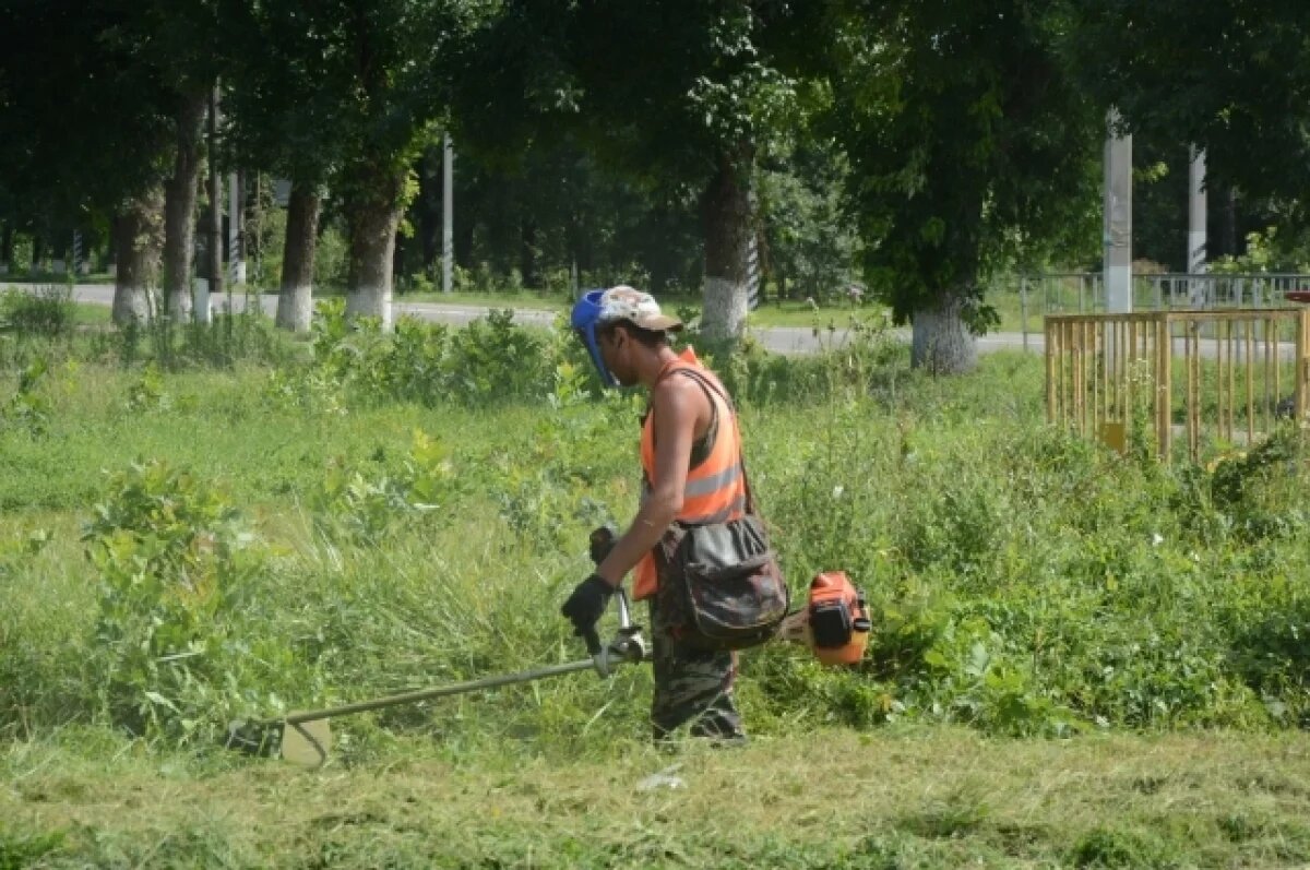    Больше 180 тысяч кв. метров газонов окосили в Брянске за выходные