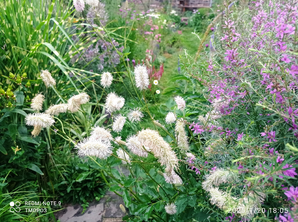 с дуругой строны