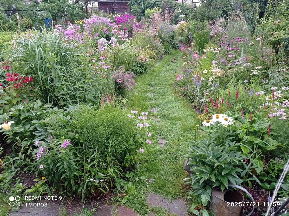 вид со скамейки