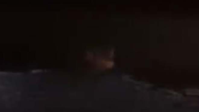 Фото: Скриншот из видео