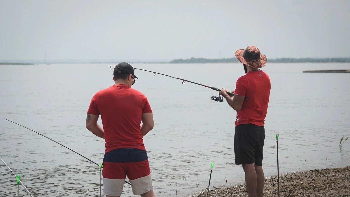     Источник: novostivolgograda.ru