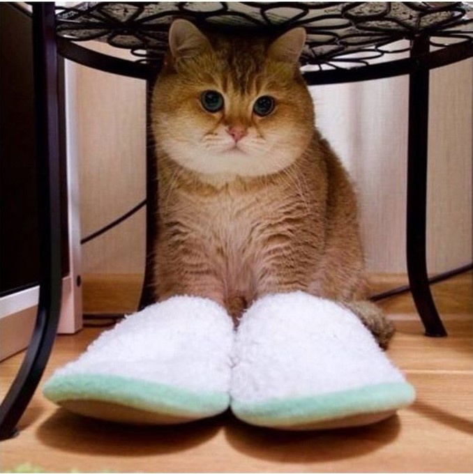 Фото из Интернета.