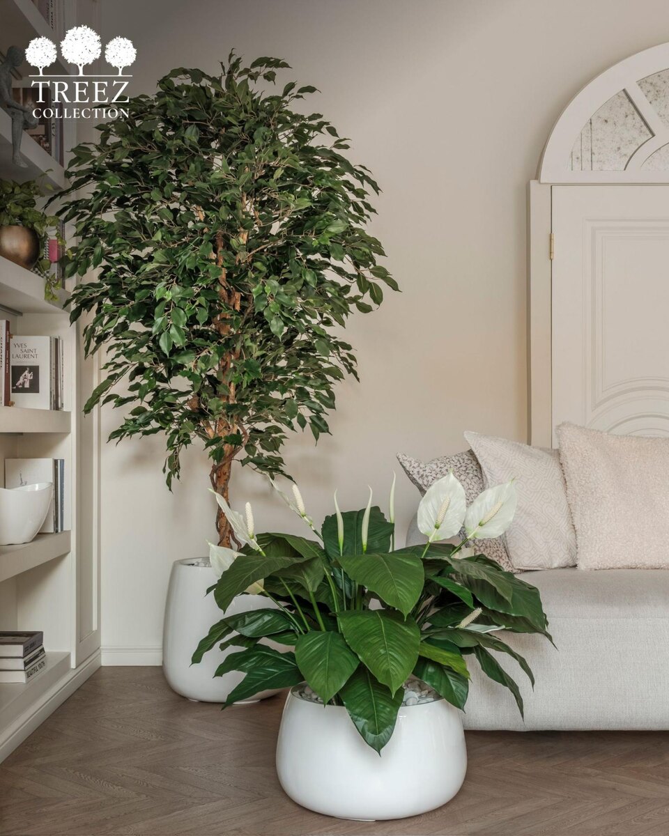 Кашпо и растения TREEZ Collection