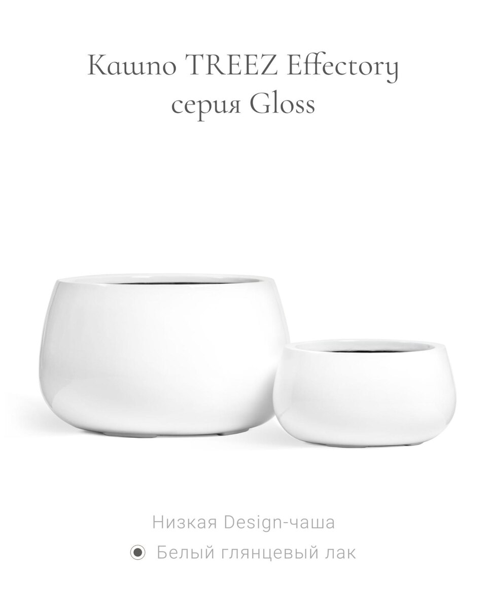 Кашпо и растения TREEZ Collection