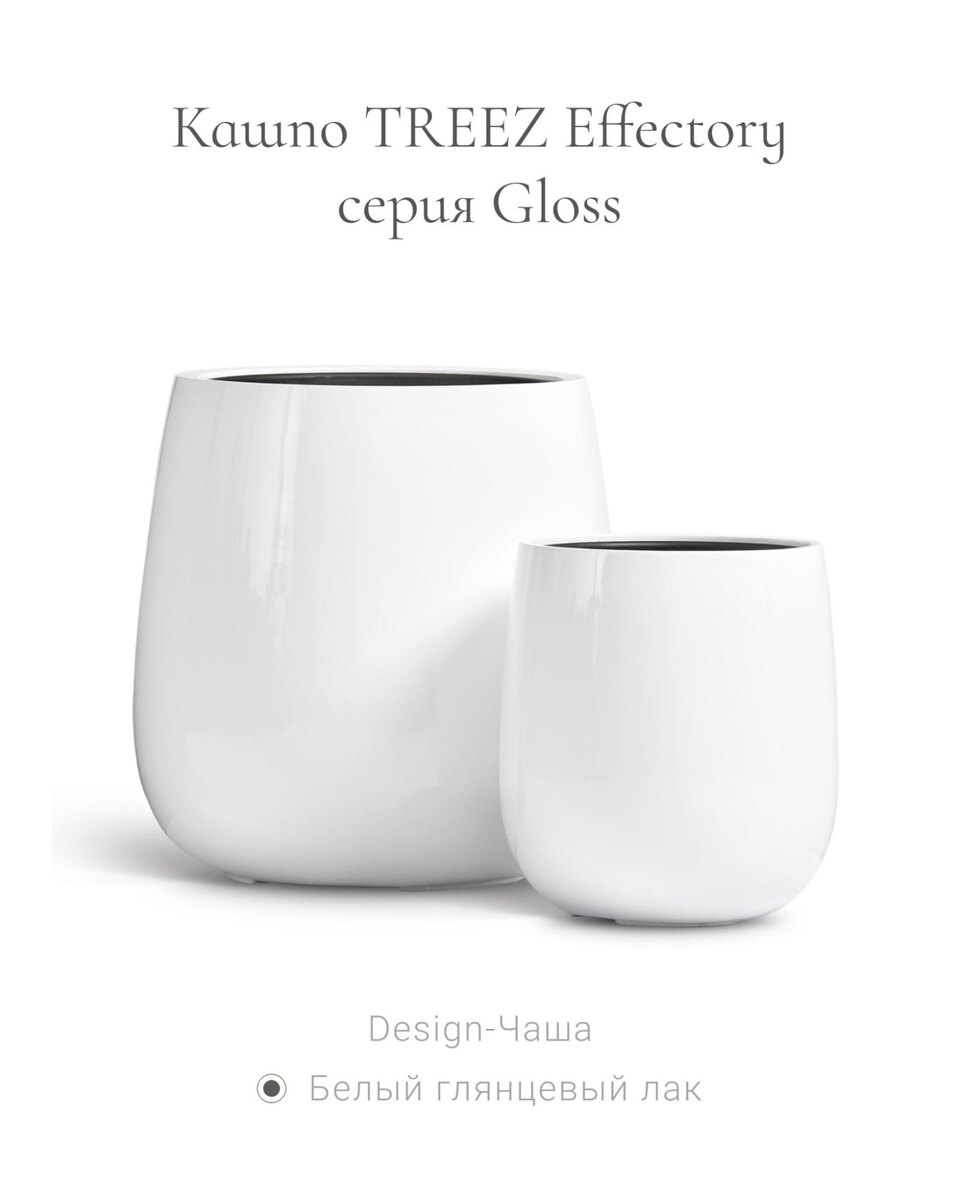 Кашпо и растения TREEZ Collection