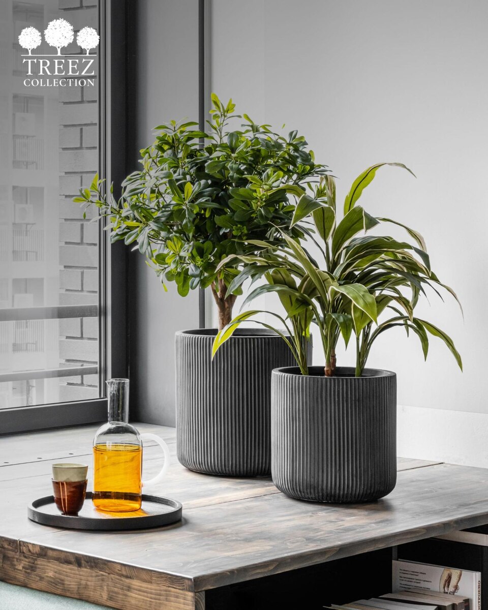 Кашпо и растения TREEZ Collection