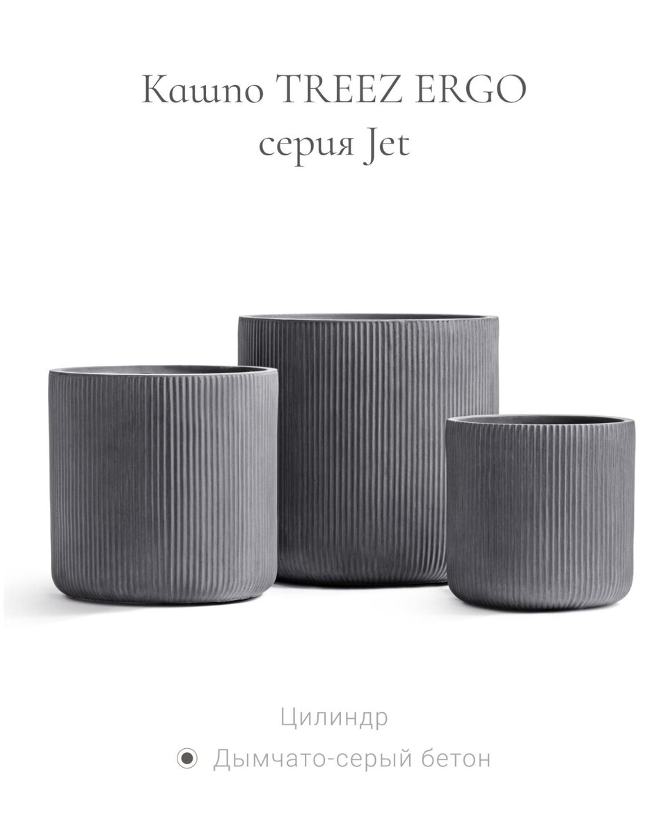 Кашпо и растения TREEZ Collection