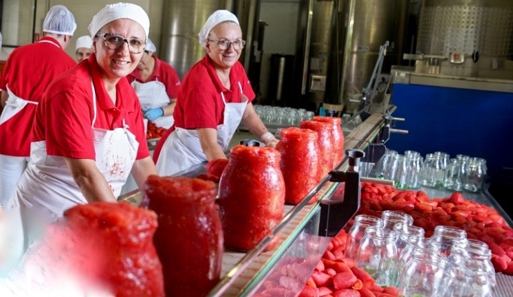 Производство томатных соусов на фабрике в итальянской коммуне.