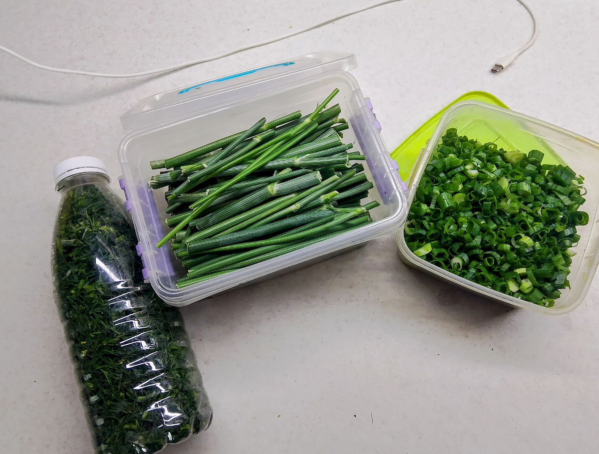 Заготовка зелени