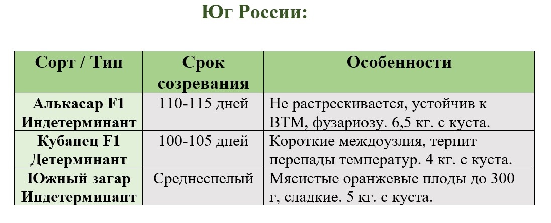 Сажайте томаты после бобовых. Мульчируйте соломой - это снизит температуру почвы на 5-7°С.  