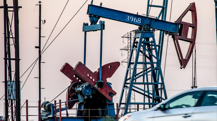    Фото: www.globallookpress.com/Lantyukhov Sergey