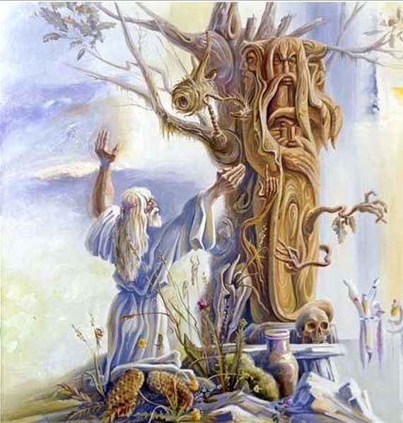 Фото открытых источников.