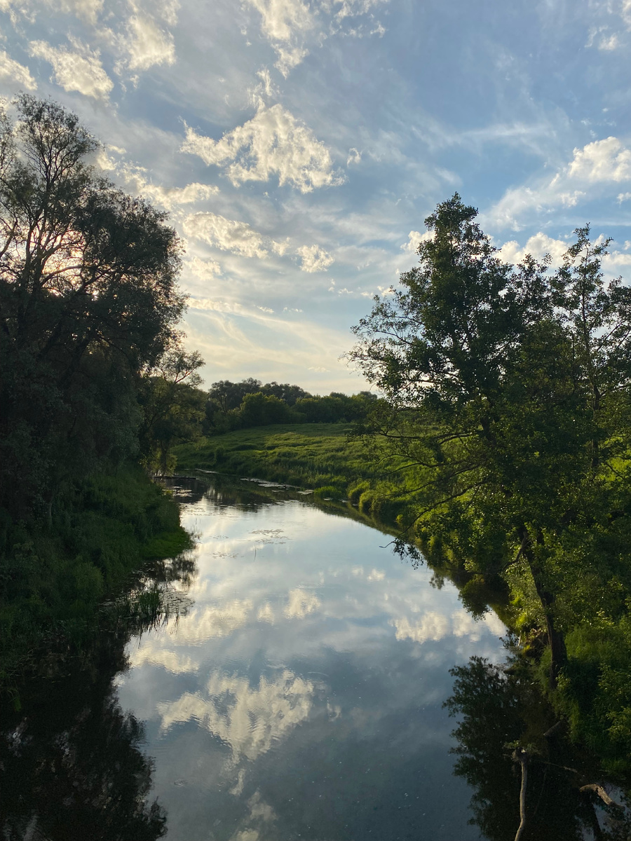 Река Таруса в Тарусе