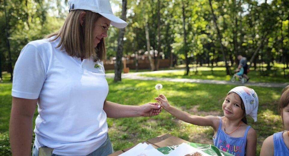    Министерство благоустройства МО