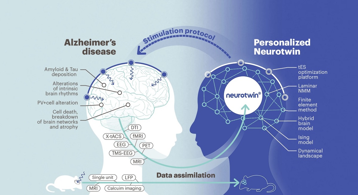 изображение: evercare.ru
