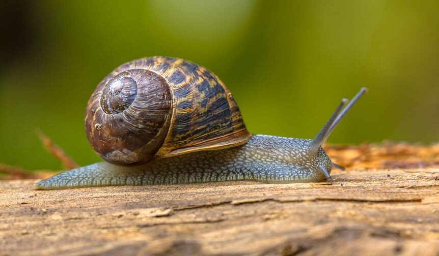 Картинка взята с ресурсов Яндекс