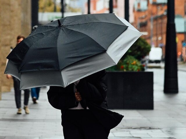    Фото: Москва 24/Никита Симонов