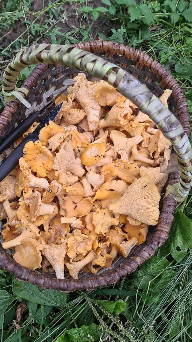 Вкусный ужин будет!