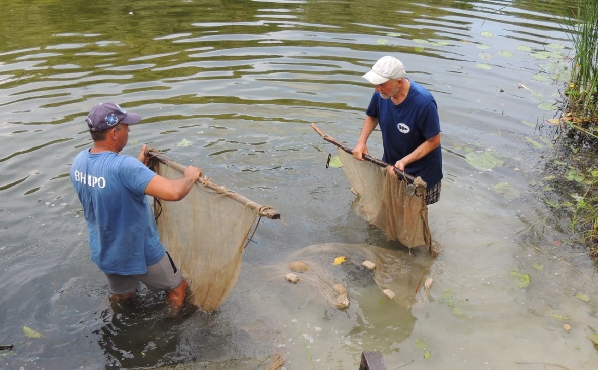 Фото: пресс-служба министерства природных ресурсов и экологии Воронежской области