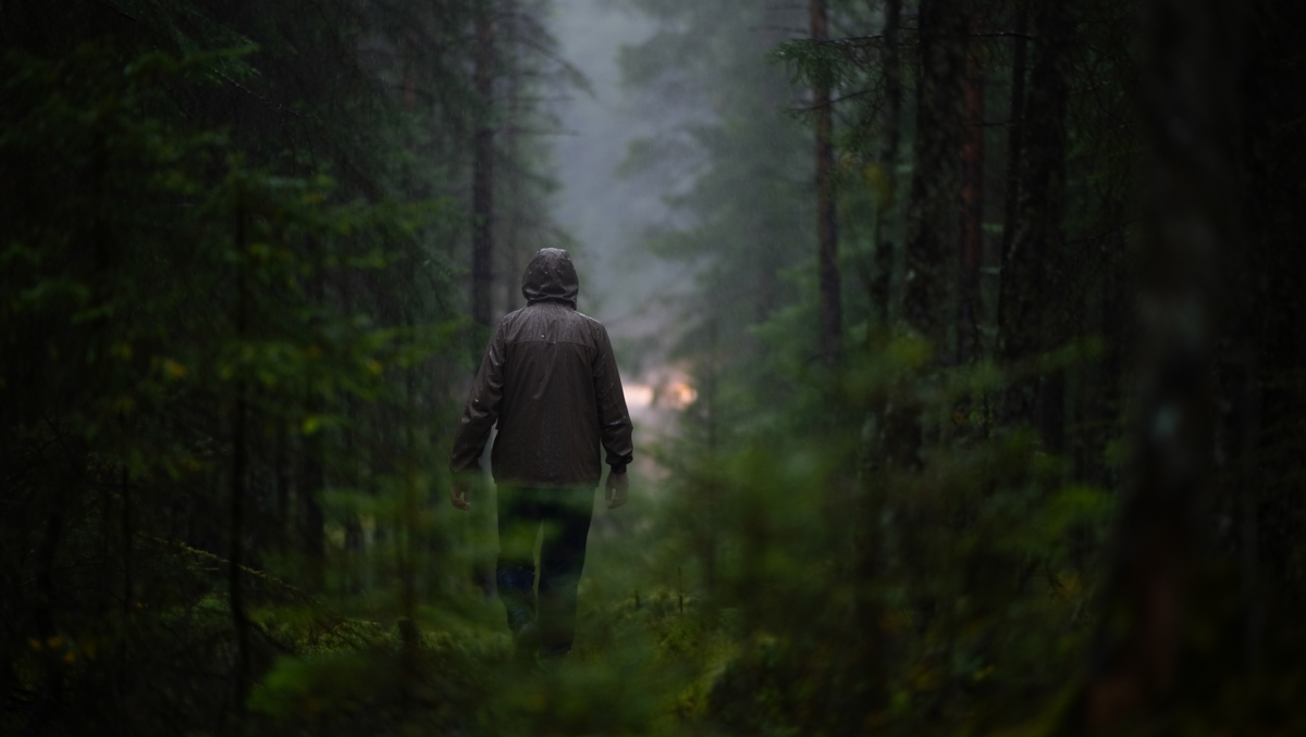 Изображение сгенерировано при помощи ИИ