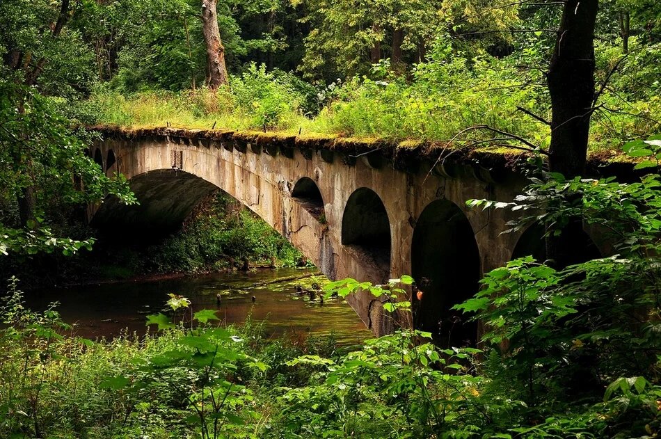 Роминтская пуща. Река Красная и мост Гайдена