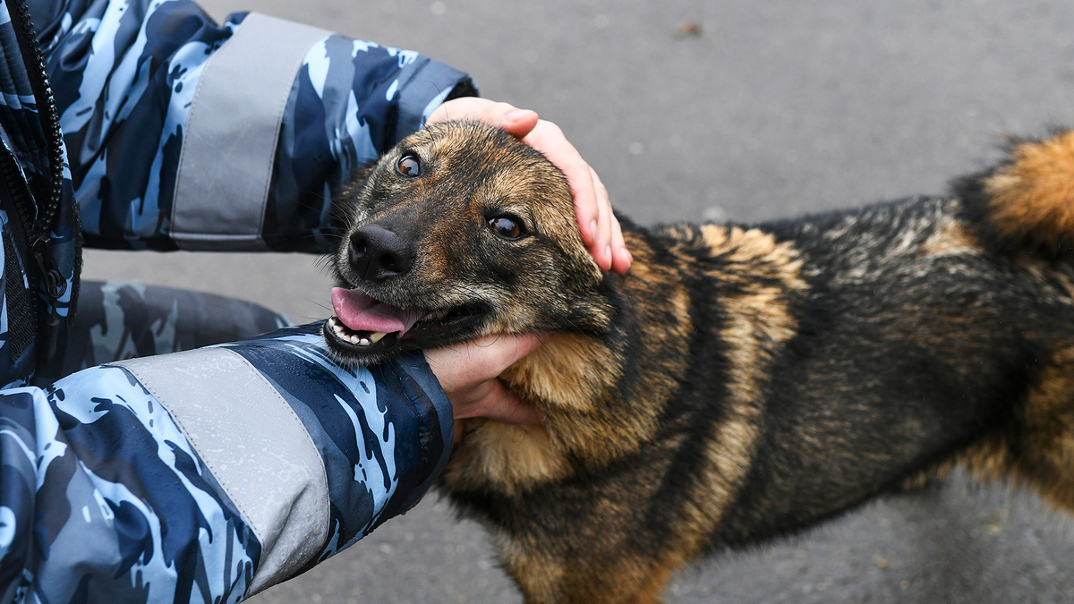 Максим Блинов / Sputnik