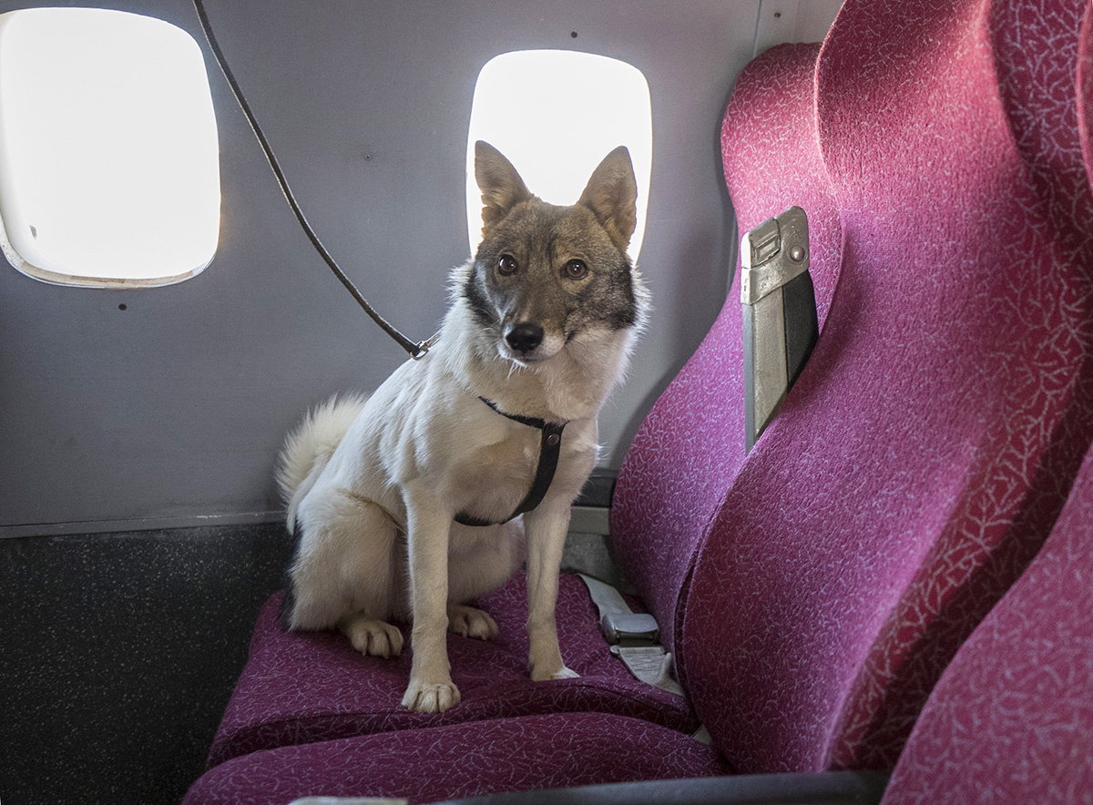 Михаил Джапаридзе / TASS