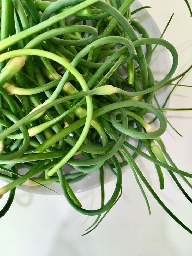 Рецепт маринованных стрелок чеснока